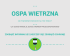 ospa wietrzna