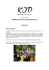 newsletter grupy kod ochota plus