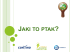 JAKI TO PTAK?