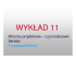 Wykład 11