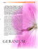 GERANIUM