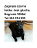 Zaginęła czarna kotka. Jest głucha. Nagroda 1000zł Tel.504 514 895