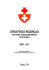 strategia rozwoju sektora pozarządowego w elblągu 2006