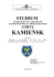 Załącznik nr 1 - Gmina Kamieńsk