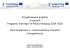 Śląski Urząd Wojewódzki_ Kontroler Krajowy - PL-SK