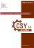 Pobierz - CSY S.A.