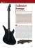 Schecter - Mega Music