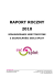 raport roczny 2010