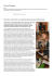 Generuj PDF - Policja Podlaska